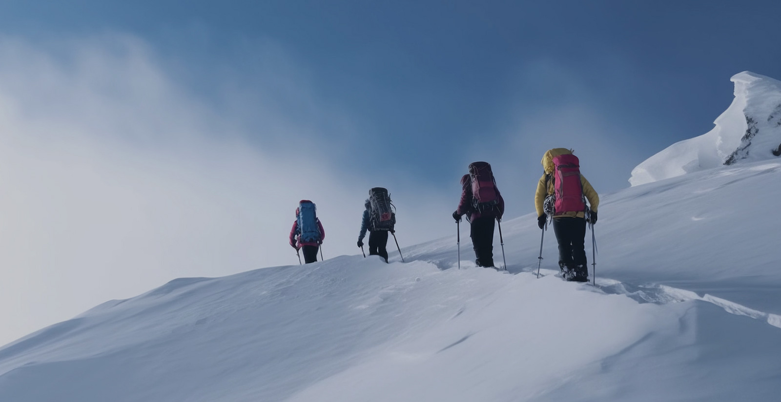 潔臣士更懂清潔，你身 邊的清潔顧問!